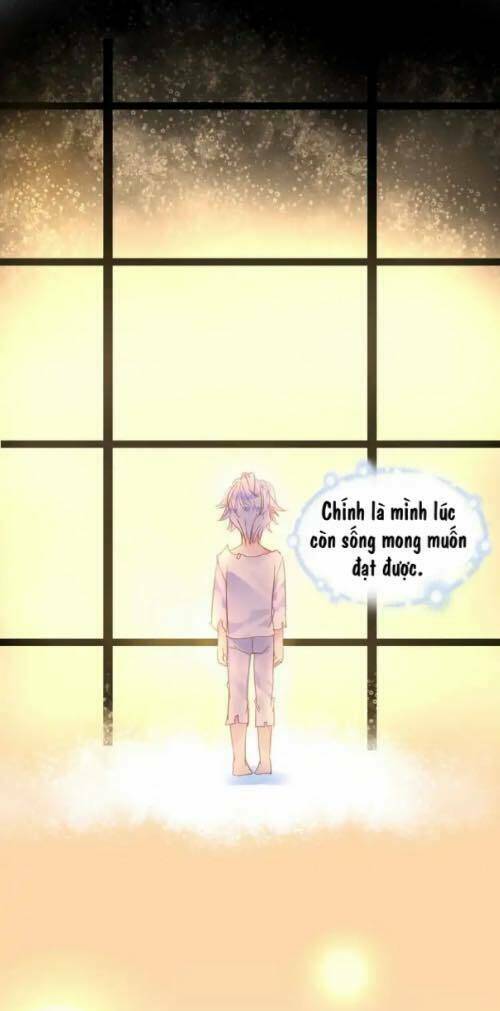 page_17.jpg