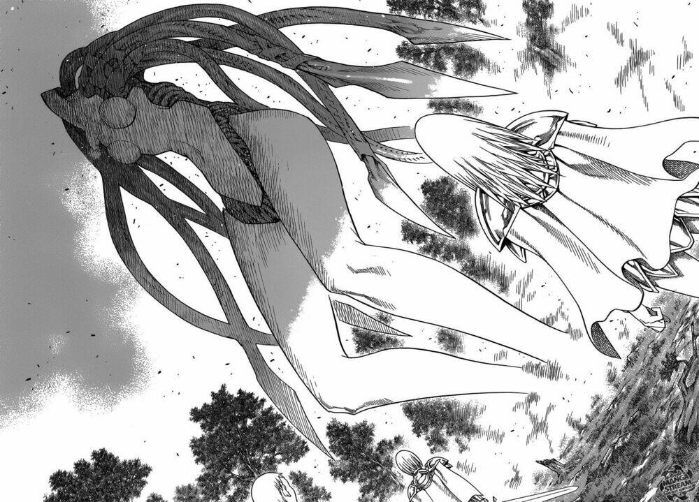 page_19.jpg