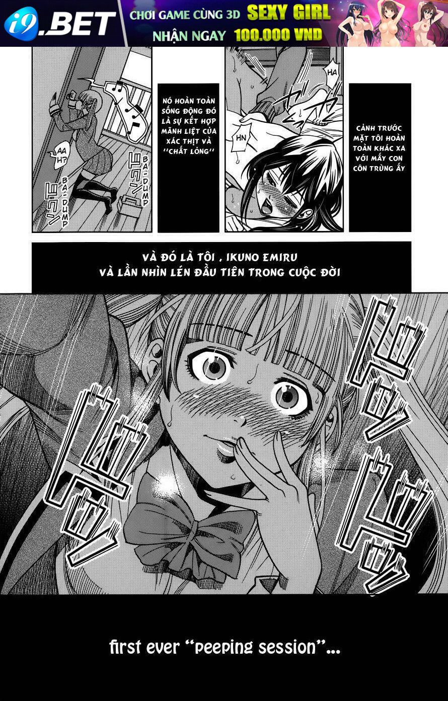 page_25.jpg