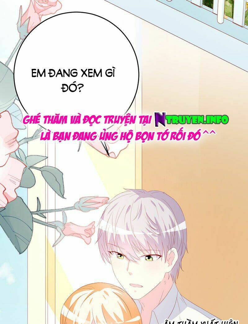 page_21.jpg
