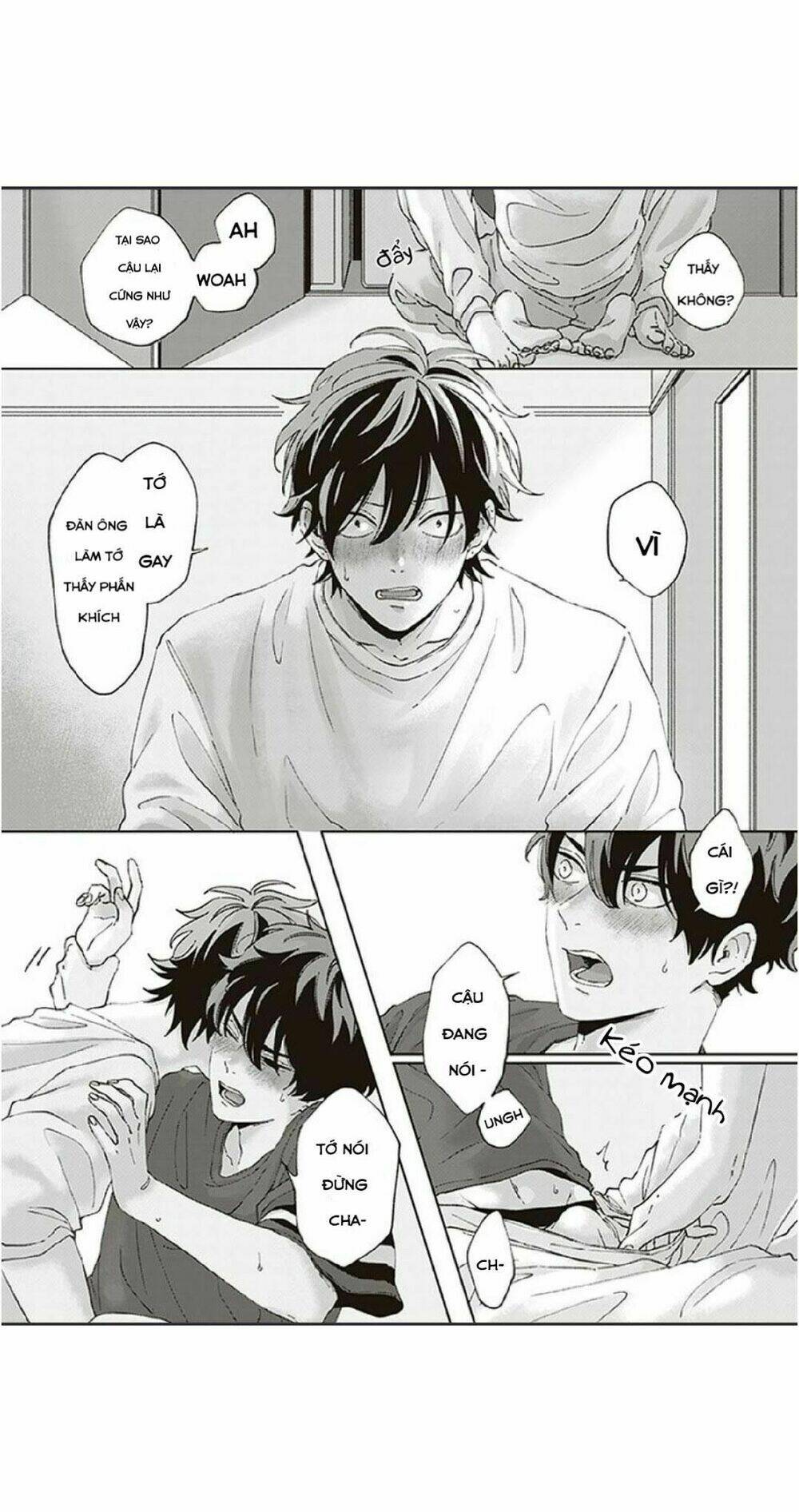 page_19.jpg