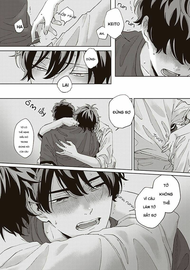 page_20.jpg
