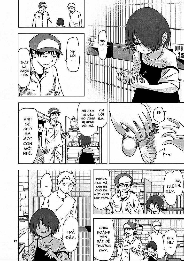 page_13.jpg