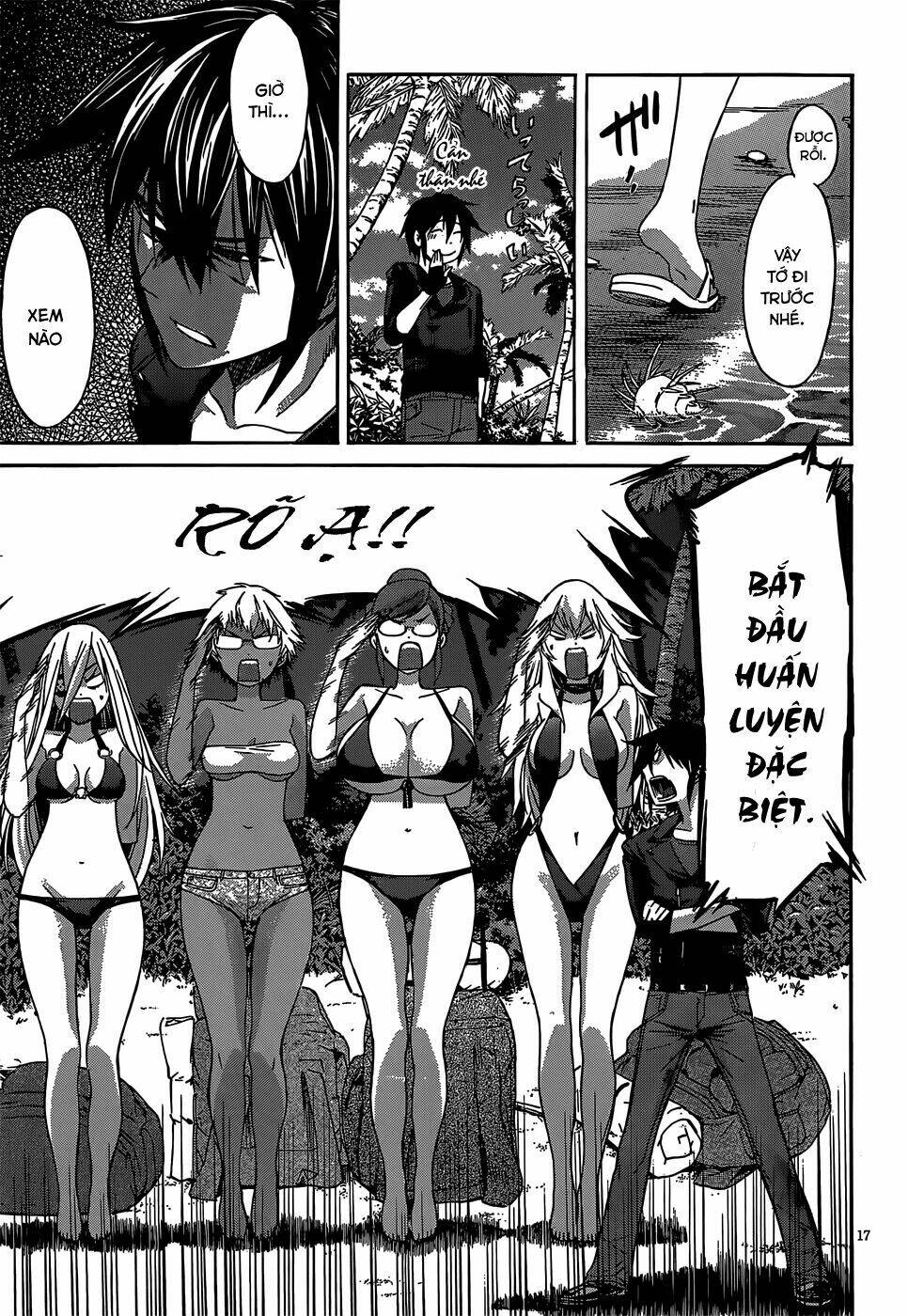 page_17.jpg