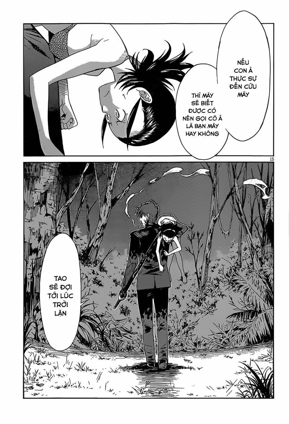 page_17.jpg