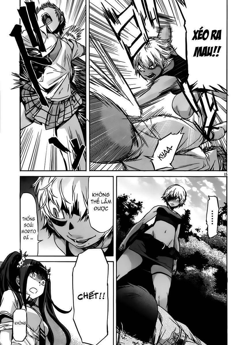 page_16.jpg