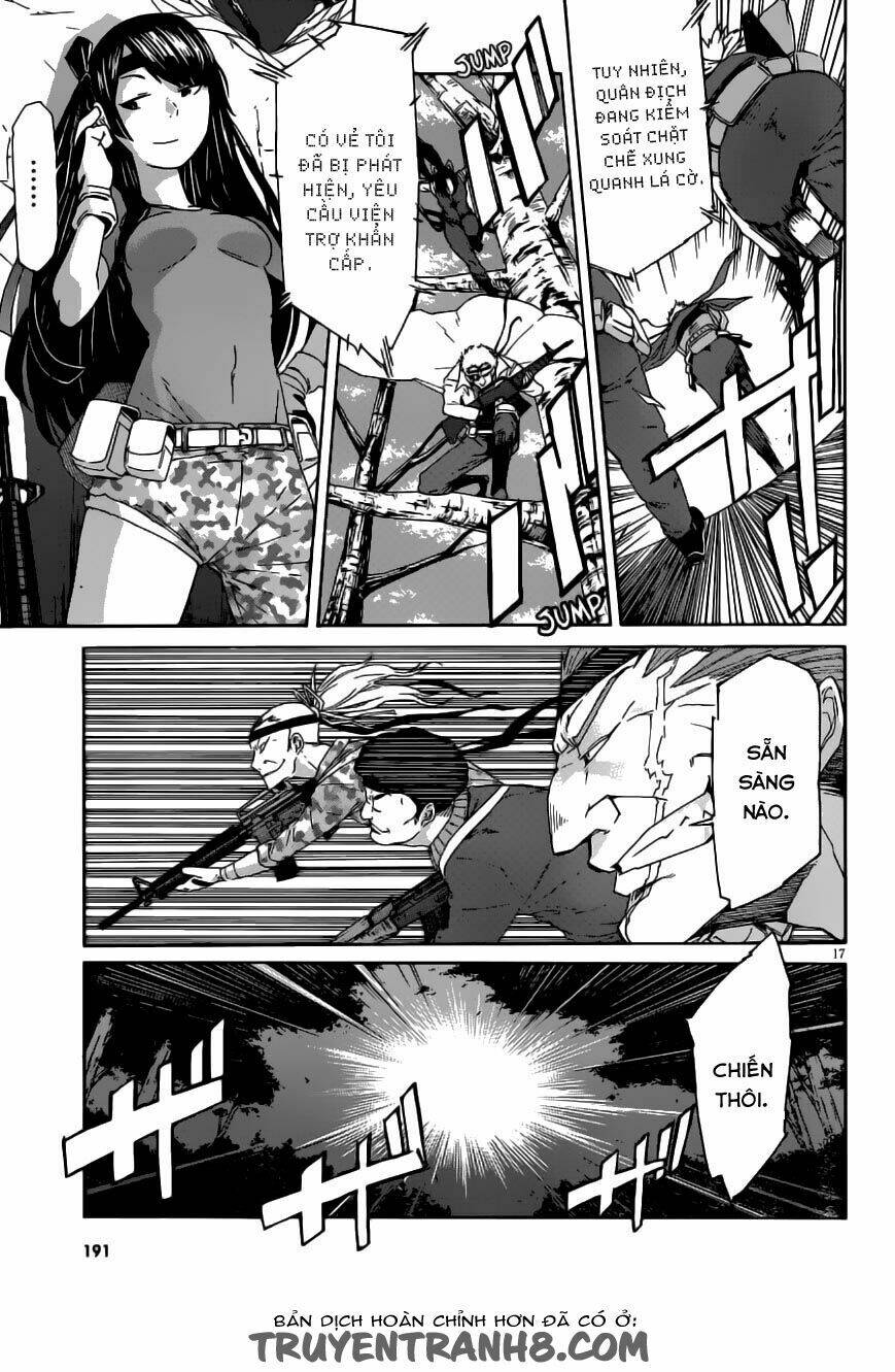 page_17.jpg