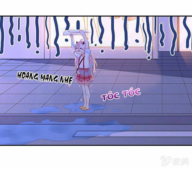 page_17.jpg
