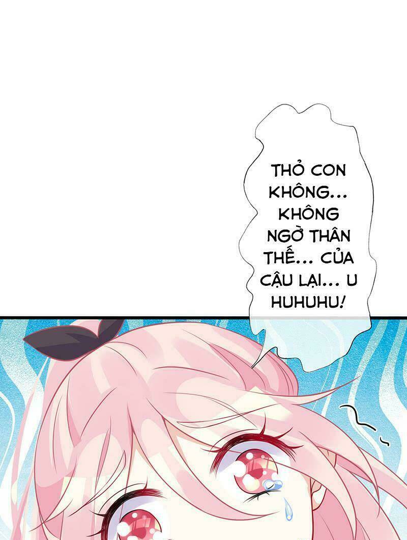 page_21.jpg