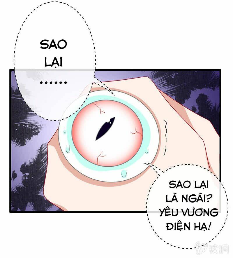 page_24.jpg
