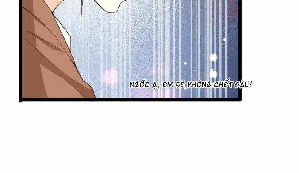 page_29.jpg