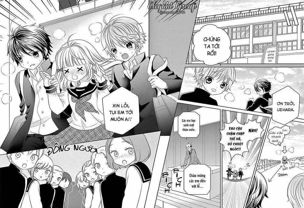 page_13.jpg