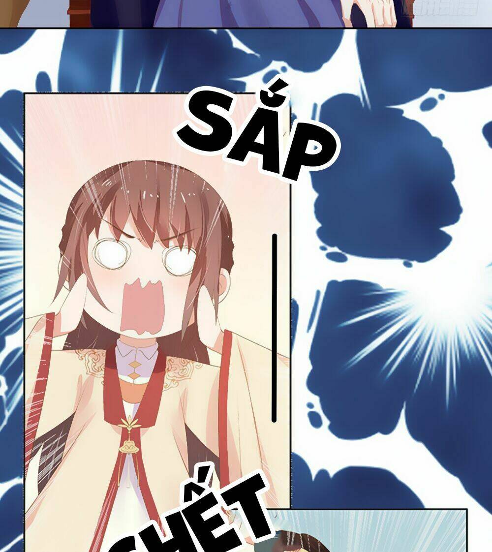 page_17.jpg