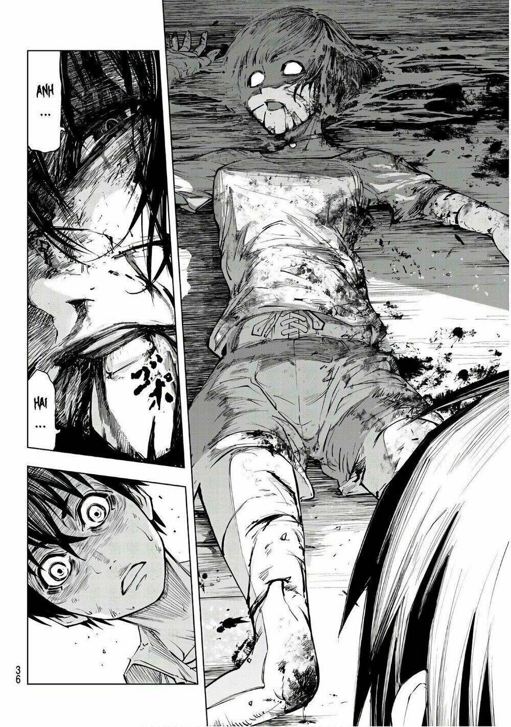 page_21.jpg