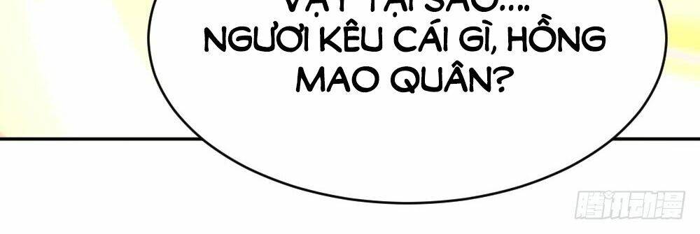 page_20.jpg