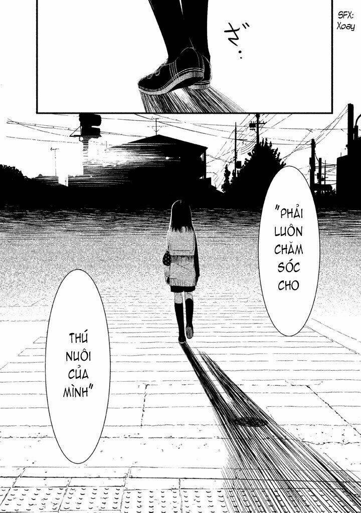 page_22.jpg