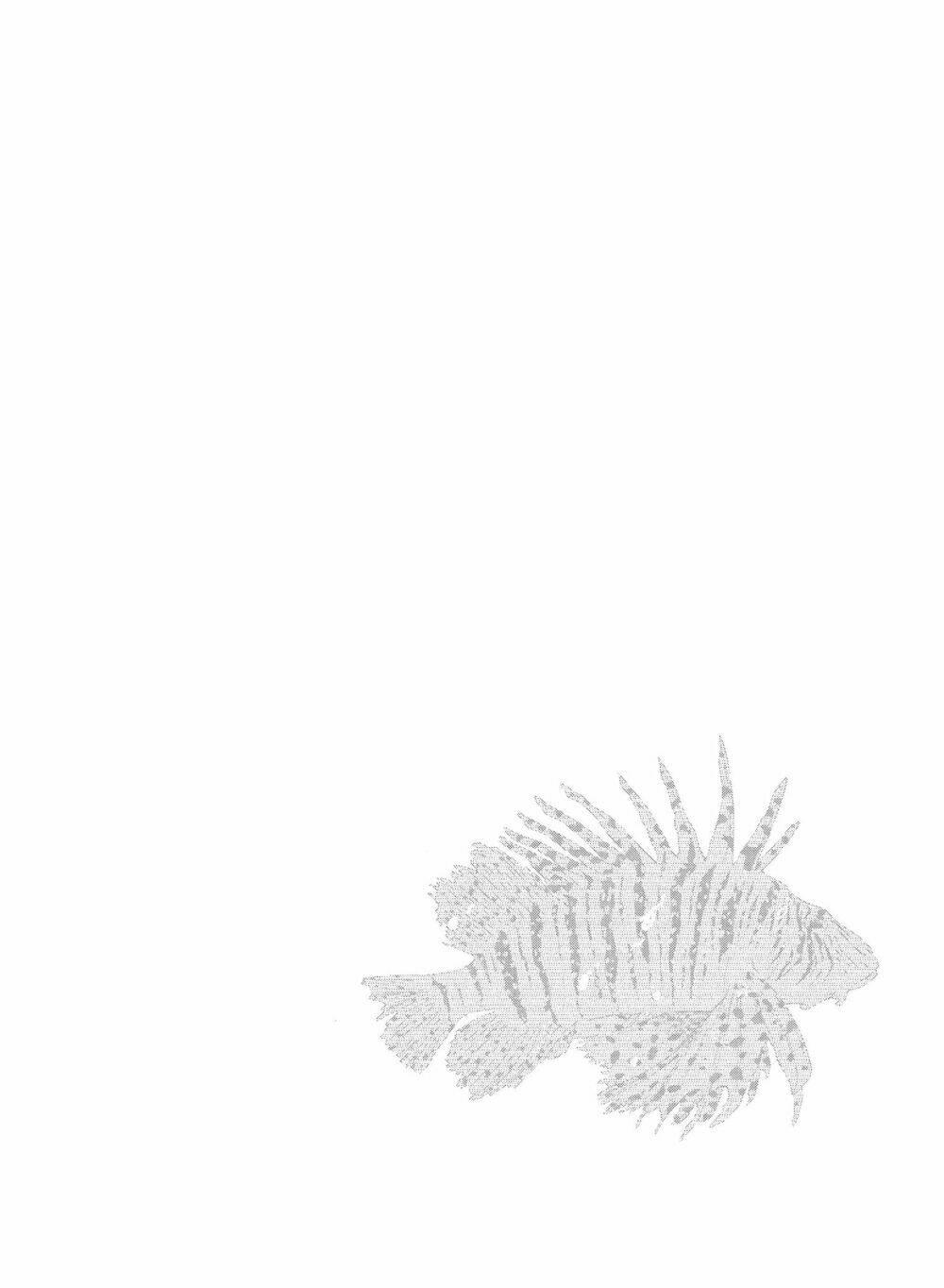 page_20.jpg