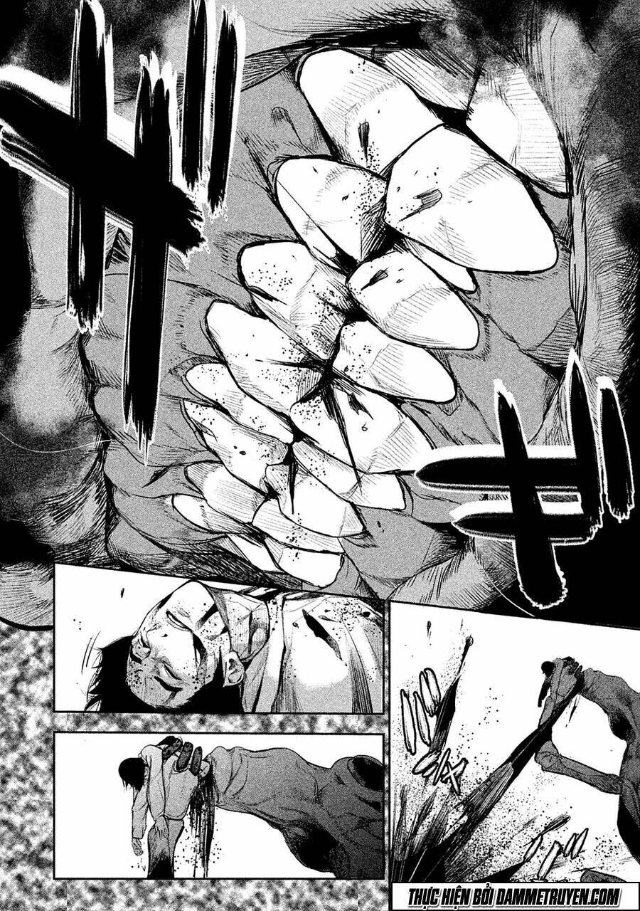 page_11.jpg