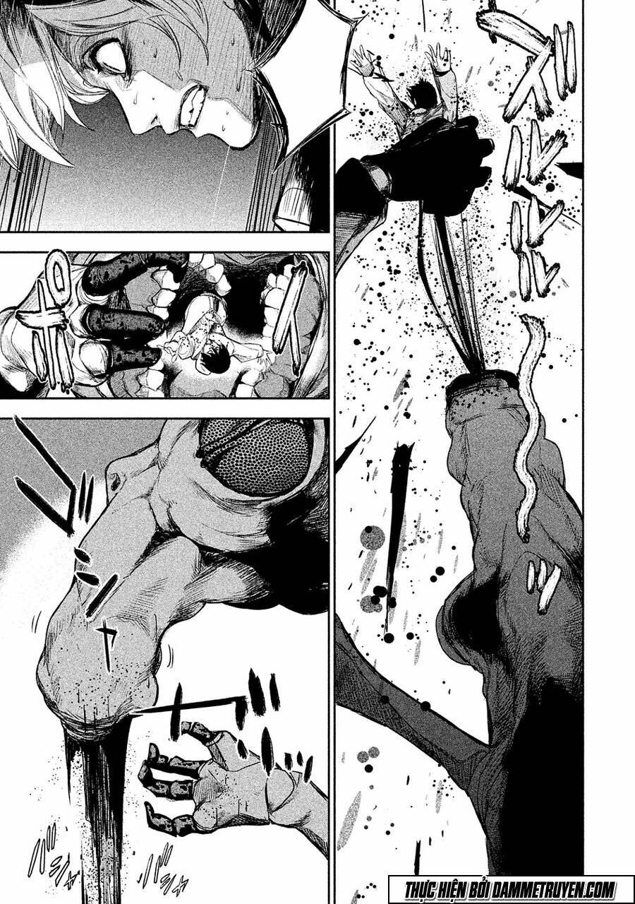 page_12.jpg