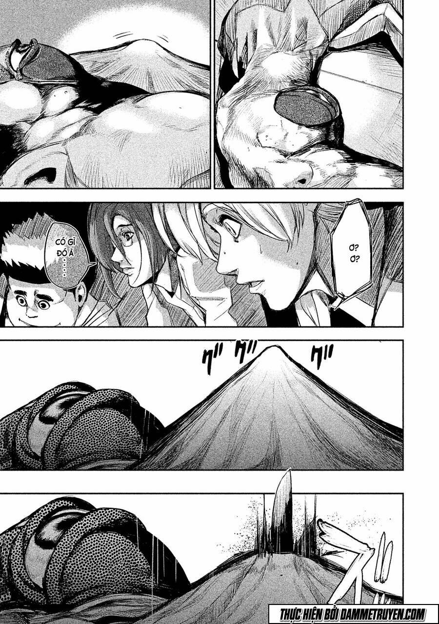 page_16.jpg