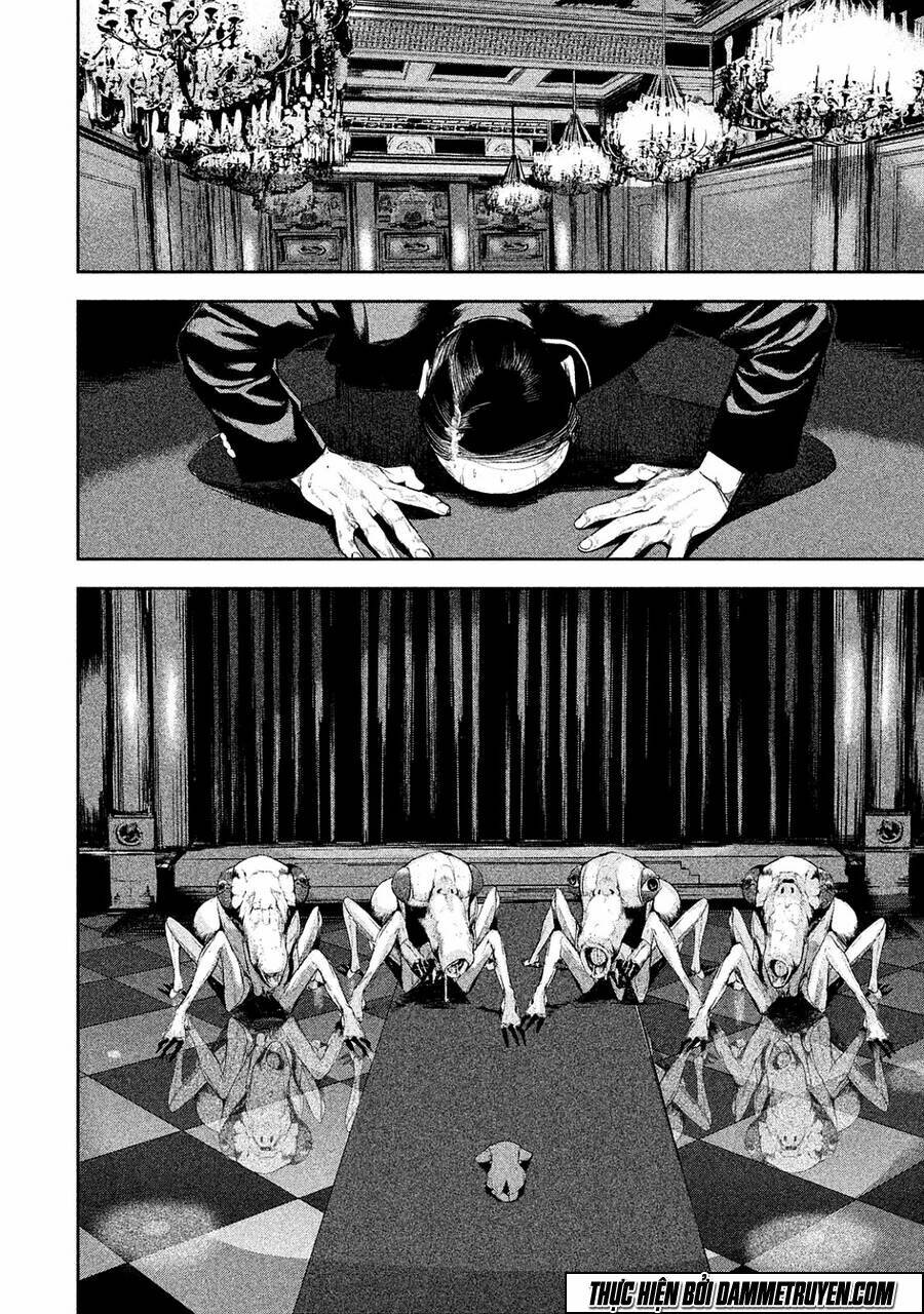 page_17.jpg