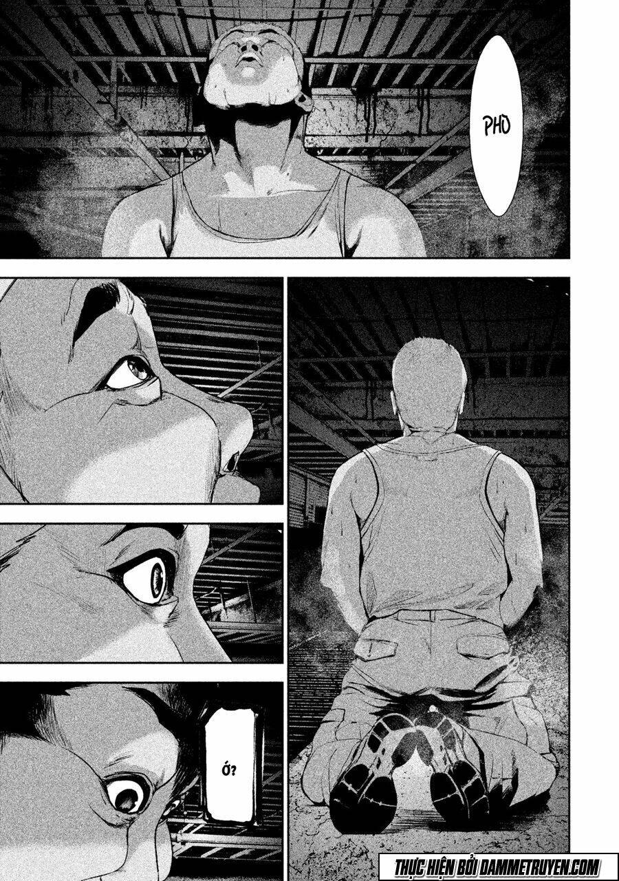 page_16.jpg