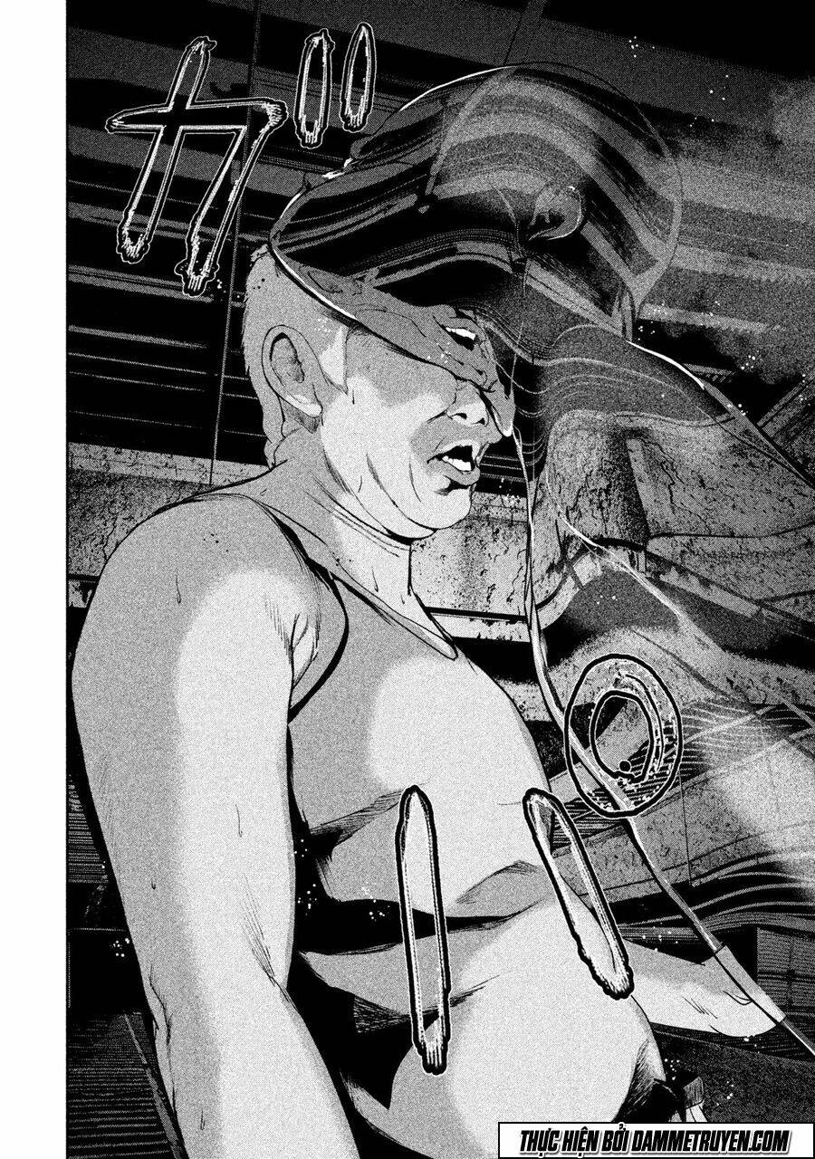 page_19.jpg