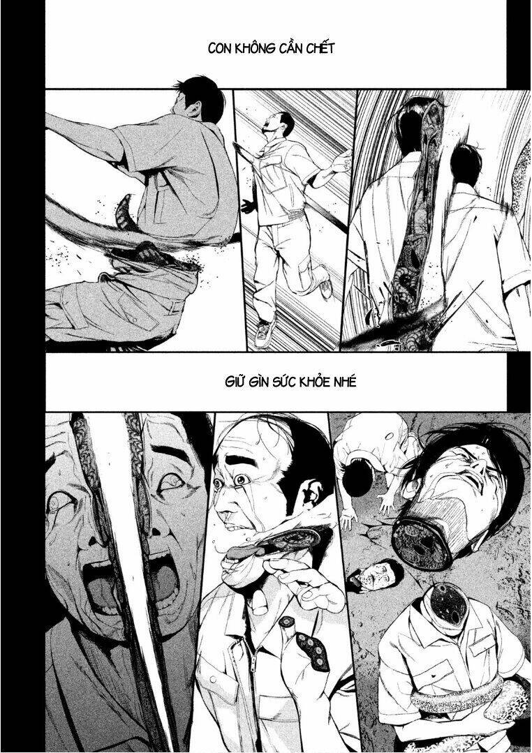 page_8.jpg