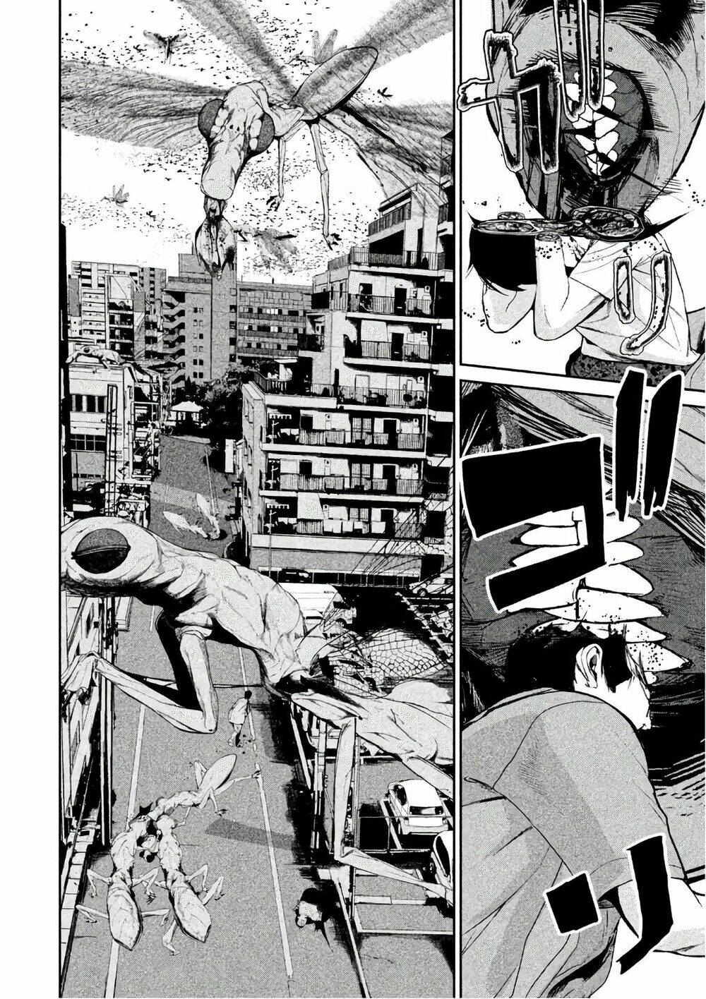 page_5.jpg