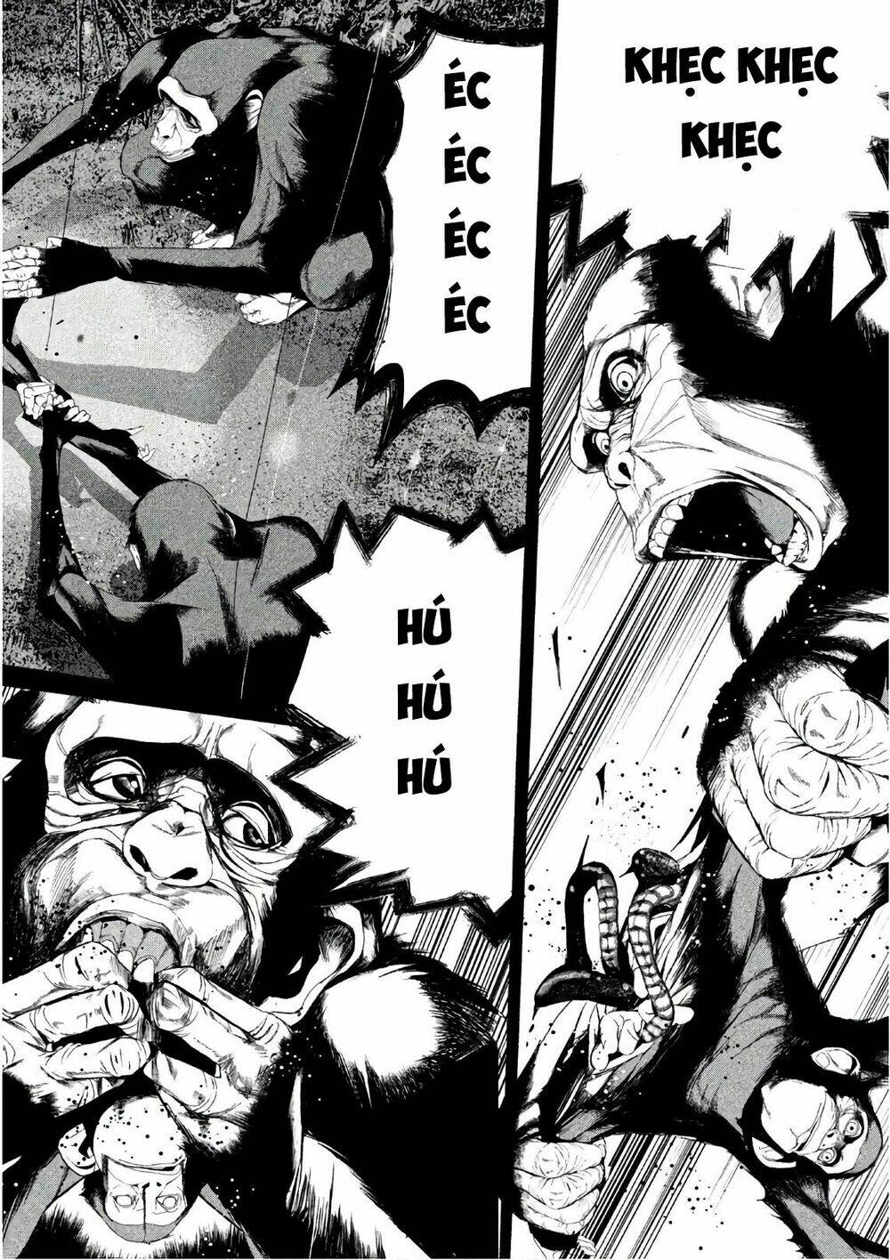 page_13.jpg