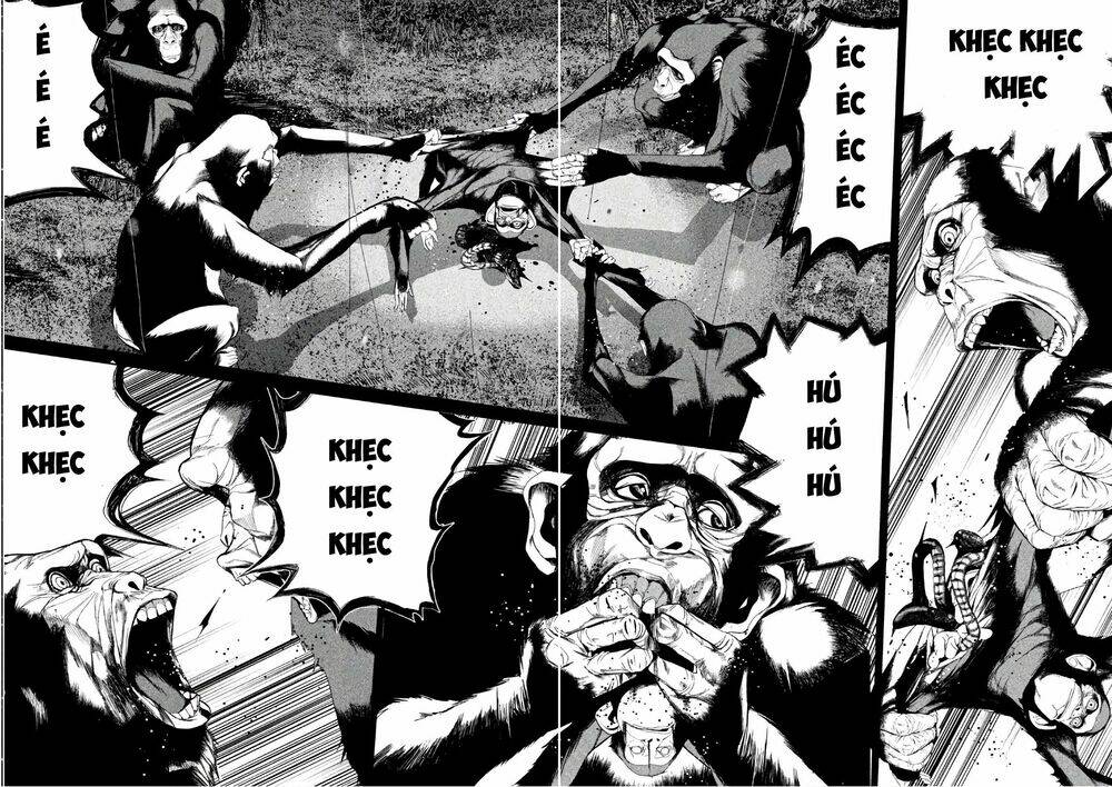 page_14.jpg
