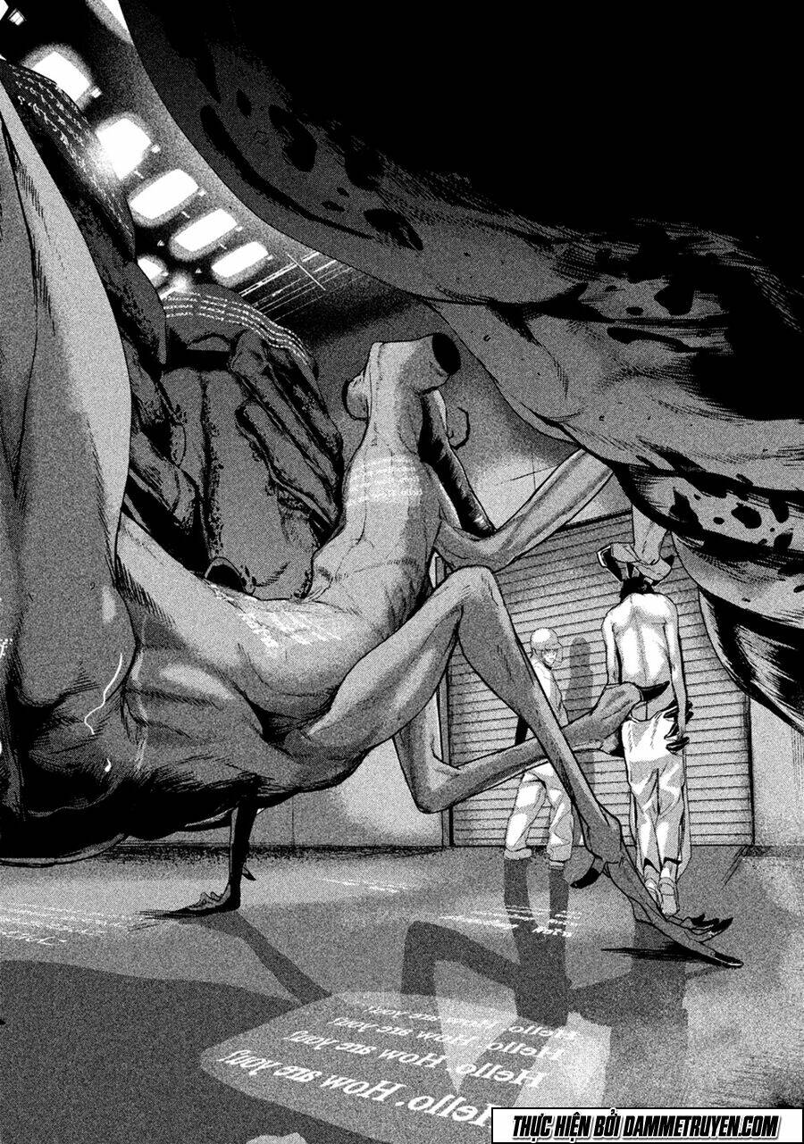 page_19.jpg