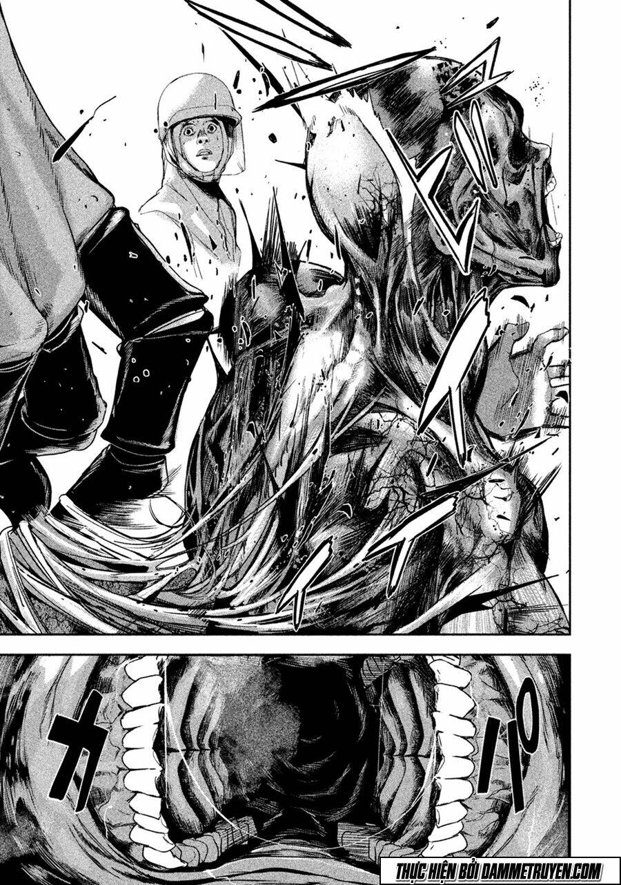 page_22.jpg