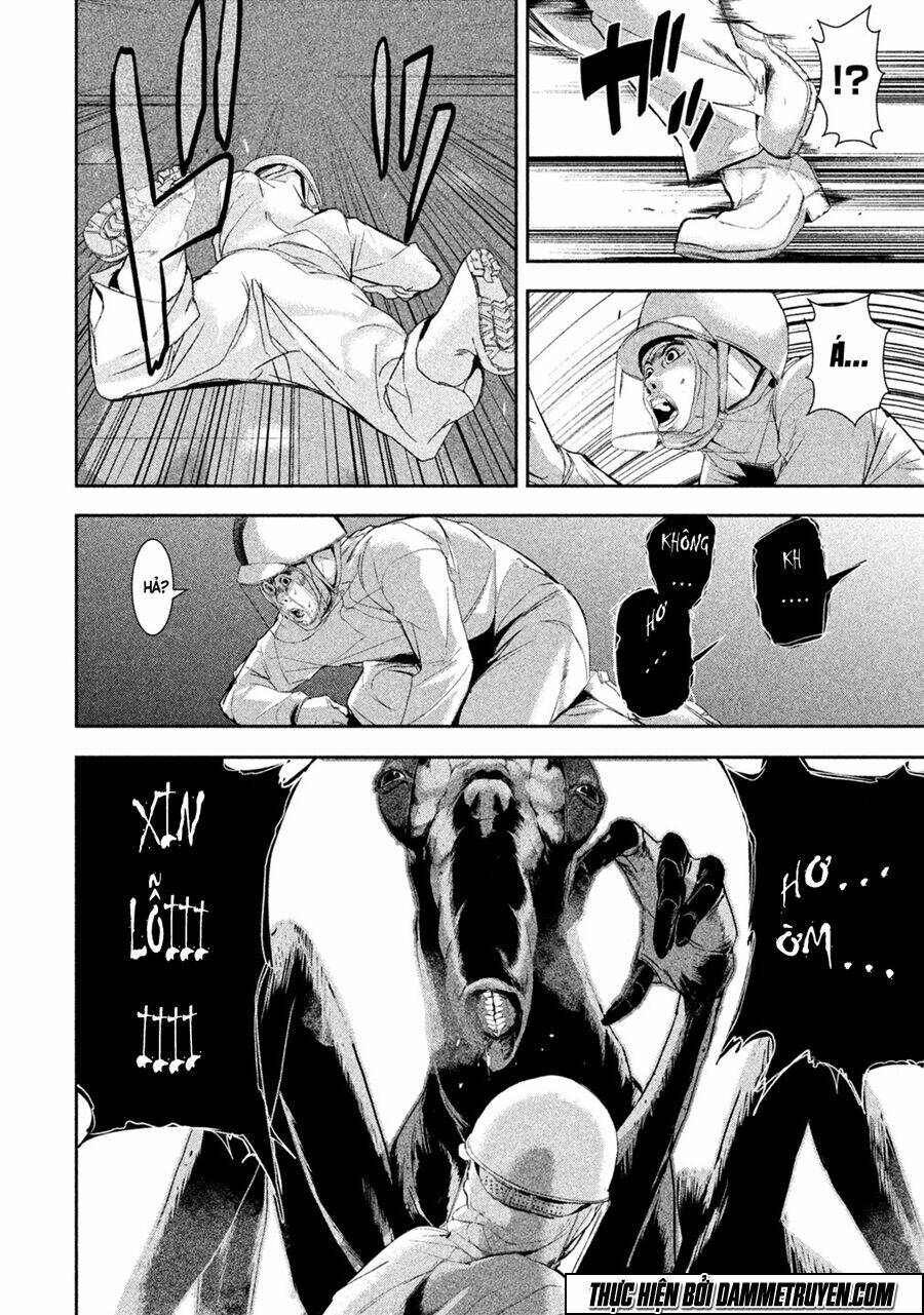 page_31.jpg