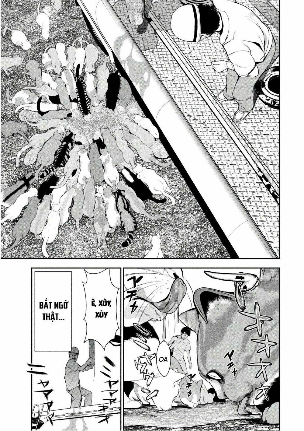 page_7.jpg