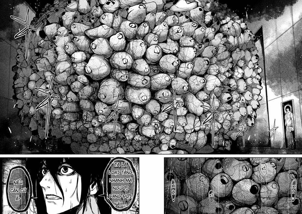 page_5.jpg