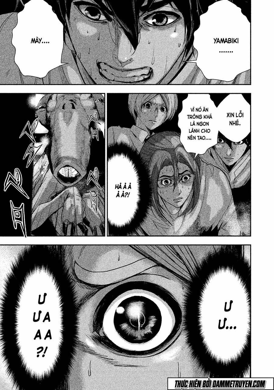 page_16.jpg