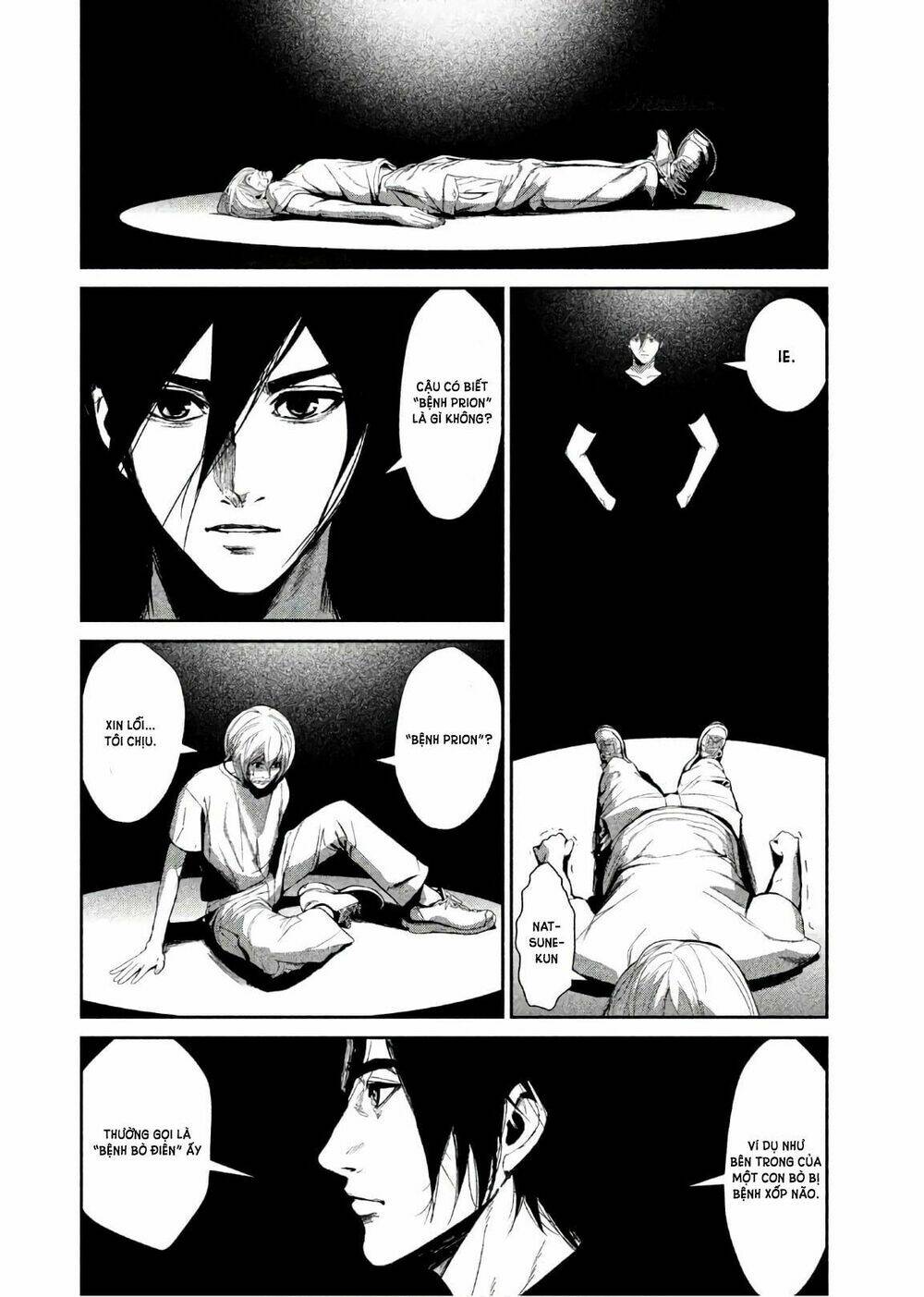 page_11.jpg
