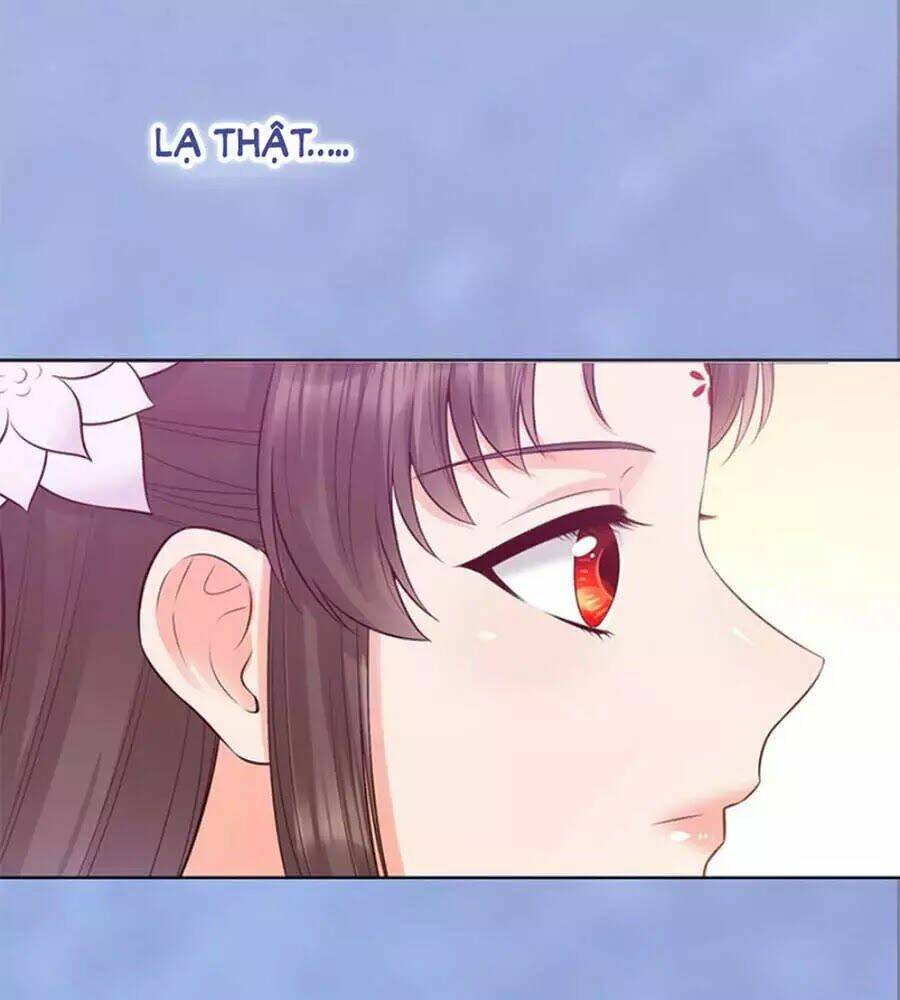 page_49.jpg