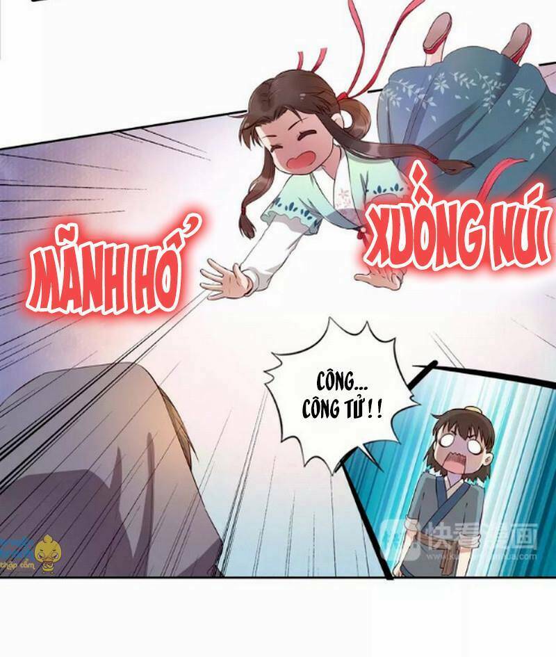 page_28.jpg