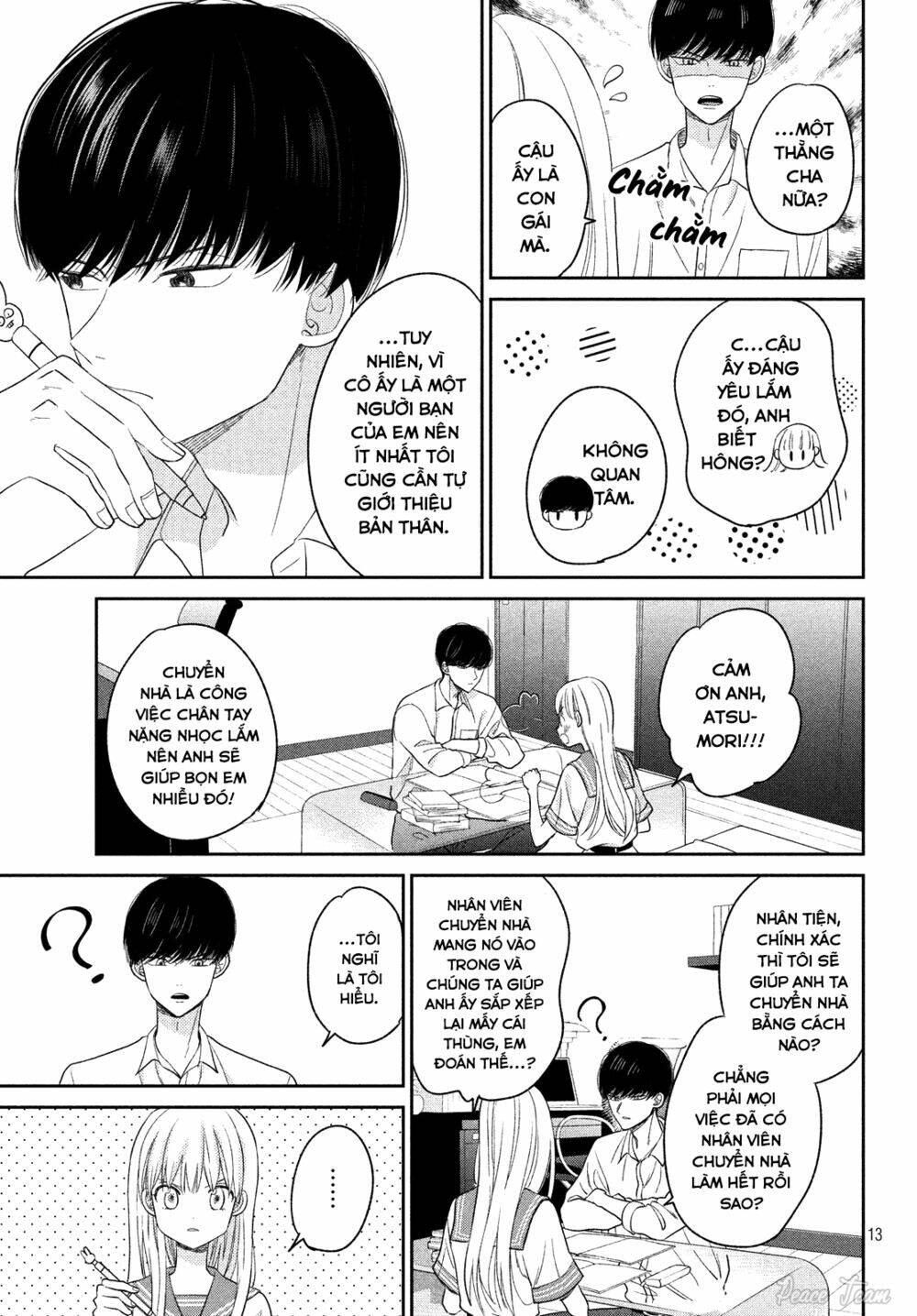 page_13.jpg