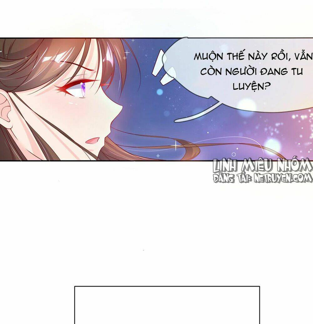 page_17.jpg