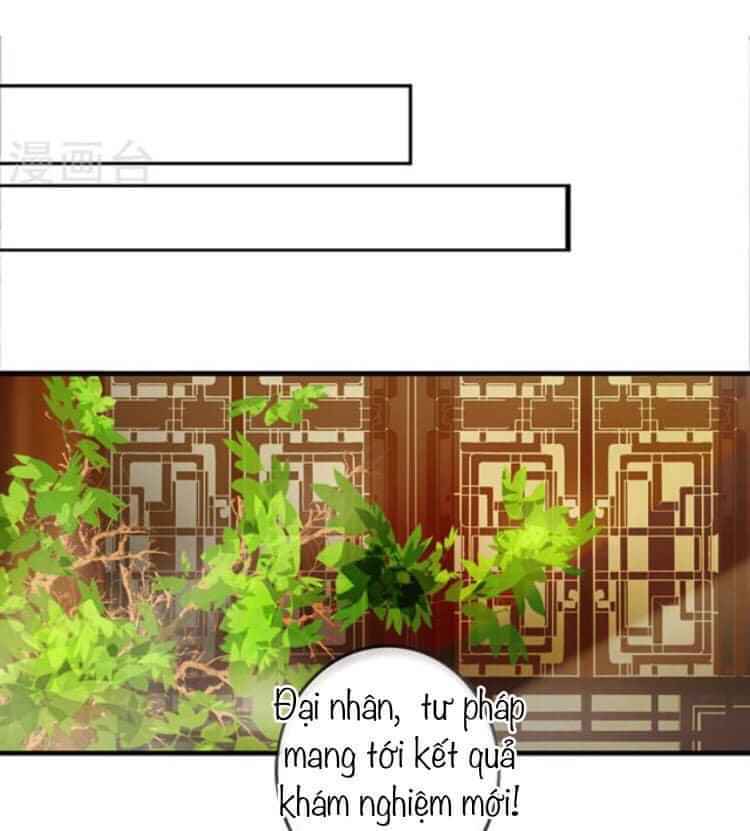 page_41.jpg
