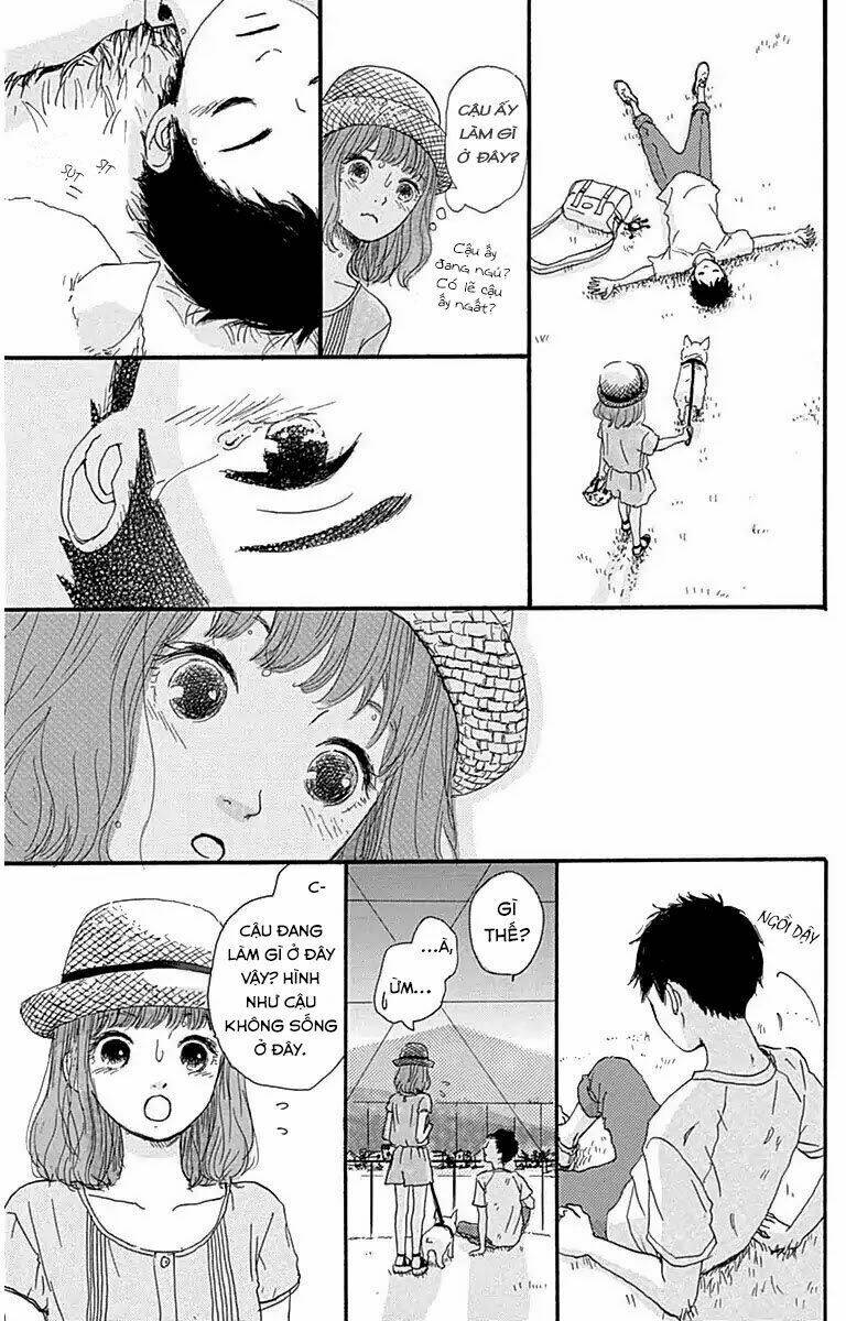 page_19.jpg