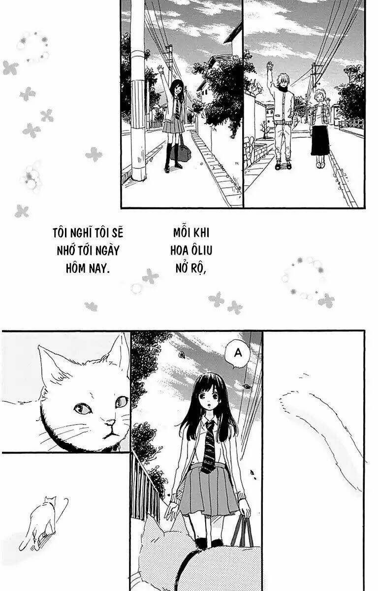 page_31.jpg