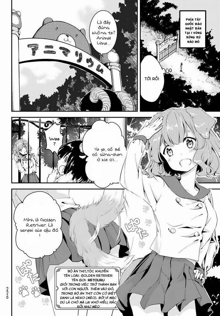 page_12.jpg