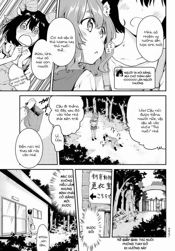 page_13.jpg