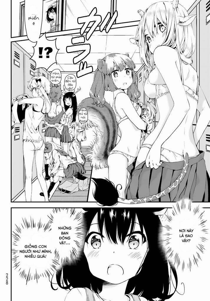 page_14.jpg