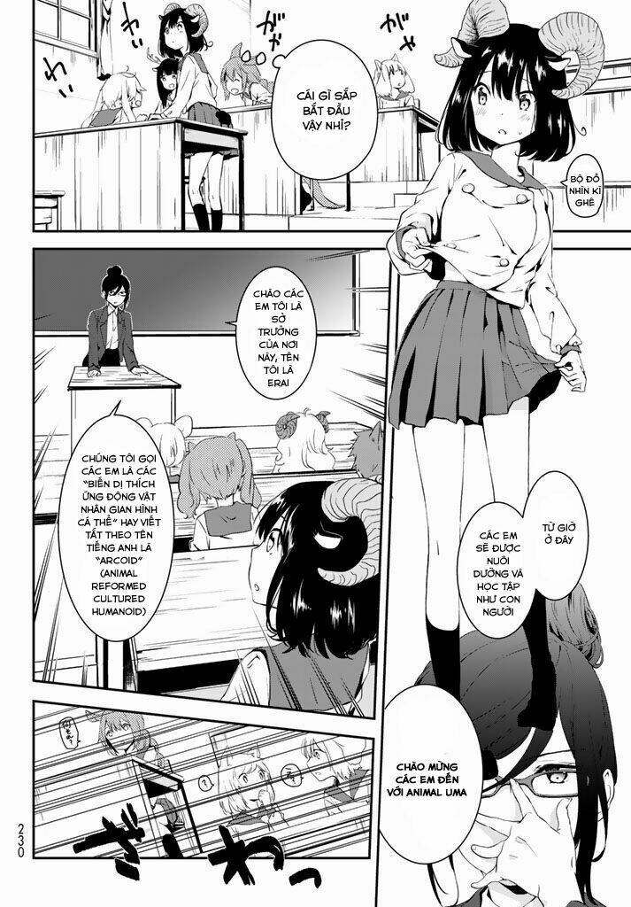 page_16.jpg