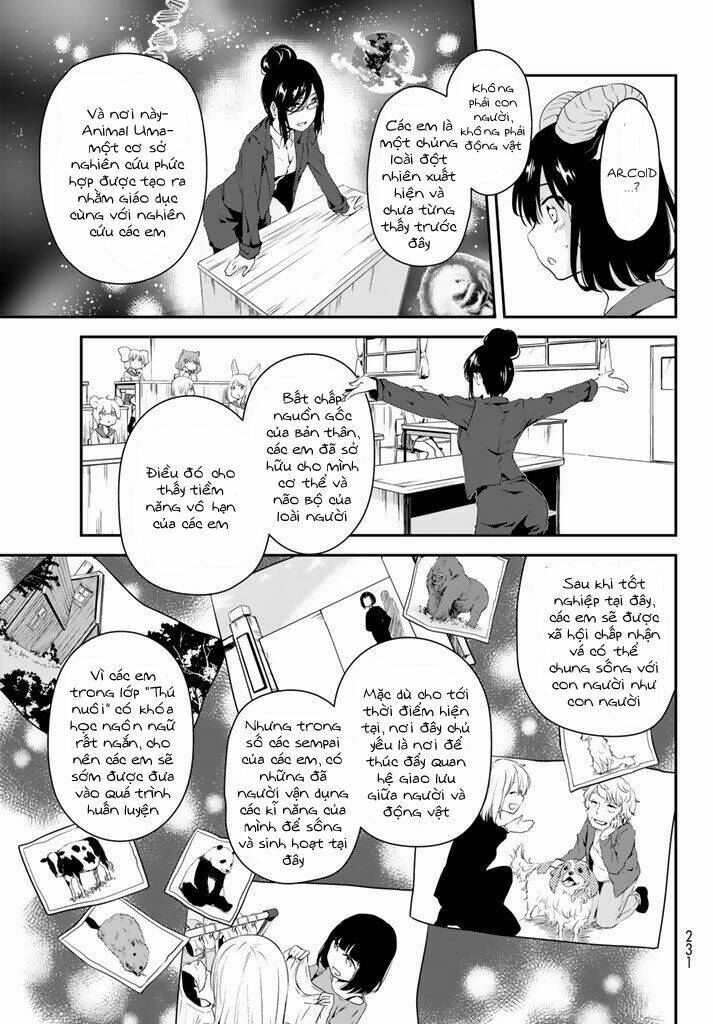 page_17.jpg
